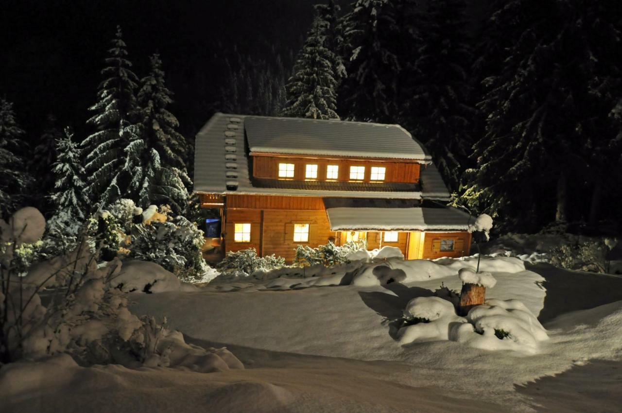 Chalet Styria Donnersbachwald Exterior foto
